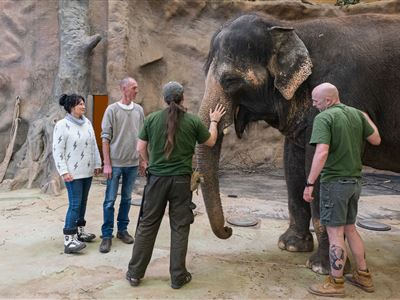 Foto 2: návštěva kolegů z EHEES v Zoo Ústí nad Labem. Foto – Henk van Bommel