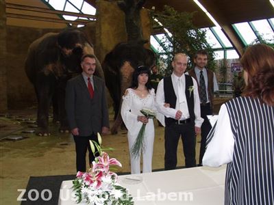 Svatebního obřadu se zúčastnily i Kala a Delhi