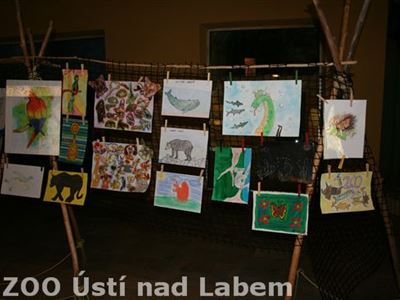 Výstava kreseb v pavilonu šelem