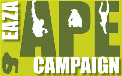 EAZA Ape Campaign 2010/2011 (Ochrana velkých primátů)