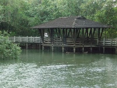Mangrovový chodník v Sungai Buloh - hledejte krokodýla!