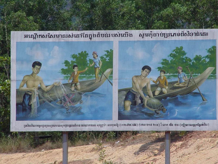 Výstižné plakáty pro rybáře na zvýšení ochrany želv