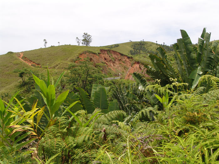 Eroze půdy způsobená odlesňováním (Dr. Samuel Furrer)